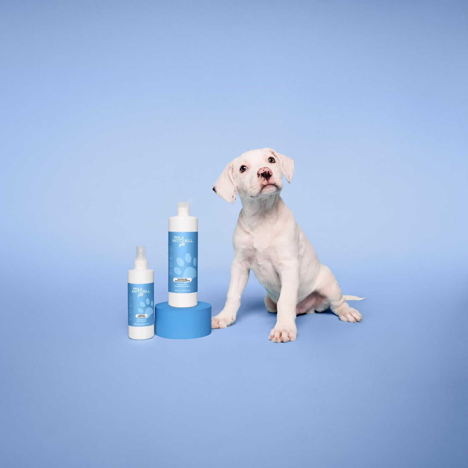 Paul Mitchell PET — The Color, Bridlington
