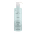 Paul Mitchell Awapuhi Wild Ginger Intensive Treatment - 500 ml Paul Mitchell Awapuhi Wild Ginger Intensive Treatment