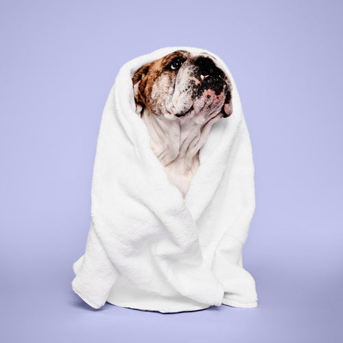 Paul Mitchell Pet Super Bright Shampoo — image 2 of 2