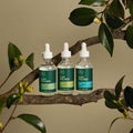 Paul Mitchell Tea Tree Dry Scalp Serum