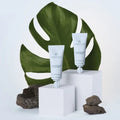 Paul Mitchell Awapuhi Wild Ginger Hydratriplex Treatment - Box of 4 — image 6 of 15 Paul Mitchell Awapuhi Wild Ginger Hydratriplex Treatment - Box of 4