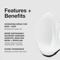 Paul Mitchell Awpauhi Moisture Mist — image 3 of 3 Paul Mitchell Awapuhi Moisture Mist