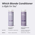 Paul Mitchell Platinum Blonde Violet Conditioner - BlondeConditioner ConditionerComparison Paul Mitchell Platinum Blonde Violet Conditioner