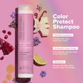 Paul Mitchell Clean Beauty Color Protect Shampoo — image 7 of 20 Paul Mitchell Clean Beauty Color Protect Shampoo