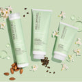 Paul Mitchell Clean Beauty Anti Frizz Leave-In Treatment — image 5 of 13 Paul Mitchell Clean Beauty Anti Frizz Leave-In Treatment