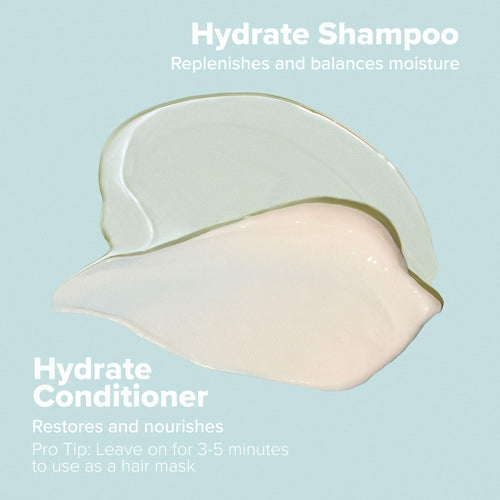 Paul Mitchell Clean Beauty Hydrate Shampoo — image 19 of 20