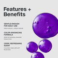 Paul Mitchell Platinum Blonde Violet Shampoo — image 4 of 12 Paul Mitchell Platinum Blonde Violet Shampoo