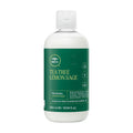 Paul Mitchell Tea Tree Lemon Sage Blowout Gel Paul Mitchell Tea Tree Lemon Sage Blowout Gel