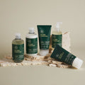 Paul Mitchell Tea Tree Lemon Sage Blowout Gel Paul Mitchell Tea Tree Lemon Sage Blowout Gel
