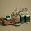 Paul Mitchell Tea Tree Special Conditioner Paul Mitchell Tea Tree Special Conditioner