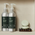 Paul Mitchell Tea Tree Special Conditioner Paul Mitchell Tea Tree Special Conditioner