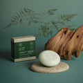 Paul Mitchell Tea Tree Special Conditioner Paul Mitchell Tea Tree Special Conditioner