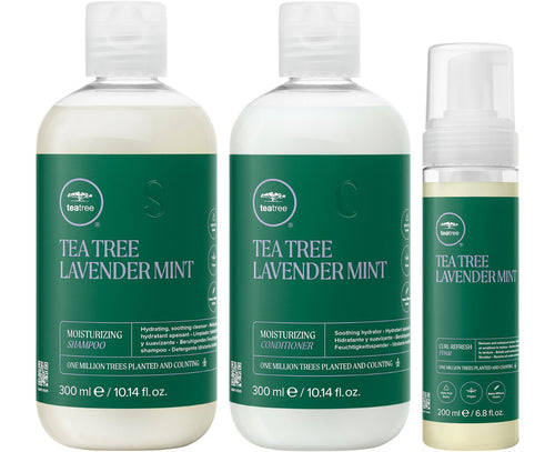 Paul Mitchell Curly Hair Kit 300 ml: Tea Tree Lavender Mint Moisturizing Shampoo 300 ml, Moisturizing Conditioner 300 ml and Curl Refresh Foam 200 ml